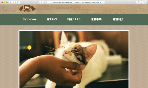 猫カフェ　猫だらけ